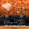 Himalayan salt bricks for sale